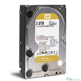 2TB 7200RPM 3.5inch 128MB SATA 6GB-Gold