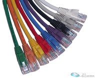 Cable Réseau 1.5 pieds CAT6 Retail