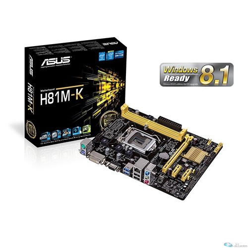 Intel H81 2x DDR3 1600/1333/1066 up to 16G,1 x D-Sub + 1 x DVI,1 x PCIEx16, 2 x PCIEx1