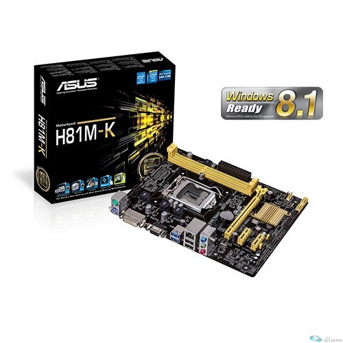 Intel H81 2x DDR3 1600/1333/1066 up to 16G,1 x D-Sub + 1 x DVI,1 x PCIEx16, 2 x PCIEx1 