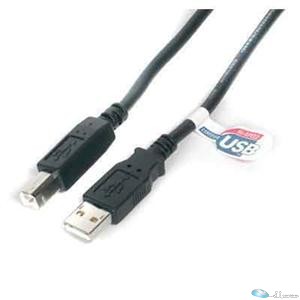 15ft USB Cable - A to B USB Cable - USB Printer Cable - type A to B USB Cable -